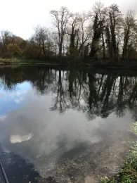 Niers-Altarm Viller Mühle