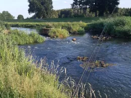 Schöpfwerk Alte Aufzucht (Herzberg)