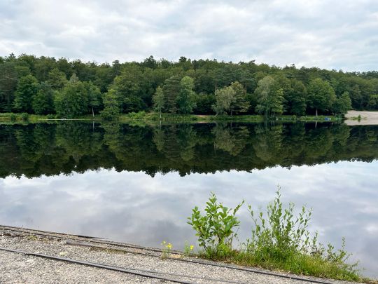 Étang de Haspelschiedt-2