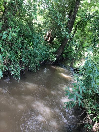 Bibert (Dietenhofen)