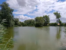 Hopfenteich (Bad Langensalza)-1