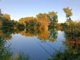 Hopfenteich (Bad Langensalza)-4