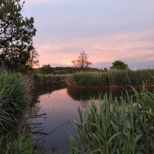 Wörnitz (Wilburgstetten)-1