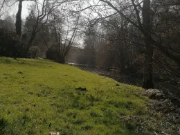 Wupper (Beyenburg)-1