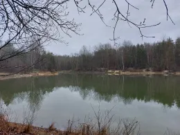 Formsandgrube Steinbach-2