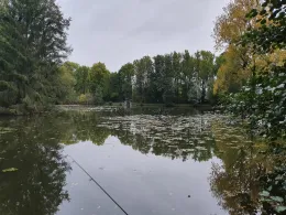 Außenteich (ASV Feldmühle)-2