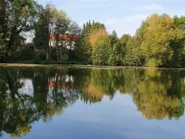 Außenteich (ASV Feldmühle)-1