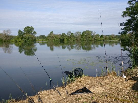 Saône (Auxonne)