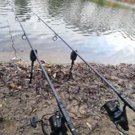 Masurensee (Duisburg)-3