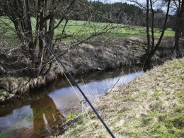 Waldnaab (Bärnau)-2