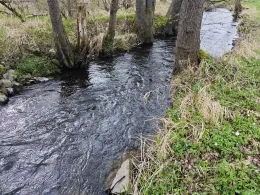 Waldnaab (Bärnau)-1