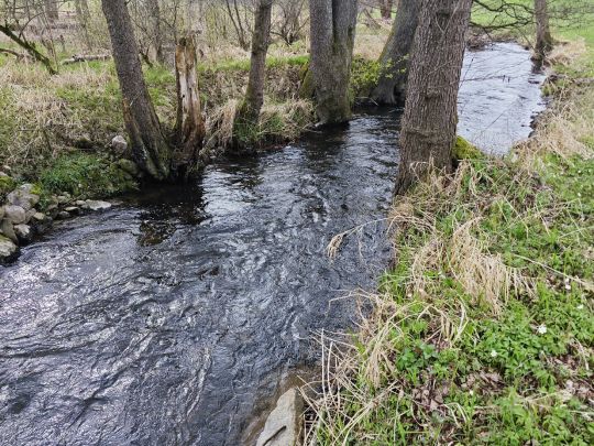 Waldnaab (Bärnau)-2