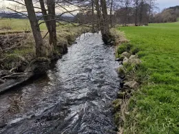 Waldnaab (Bärnau)-4