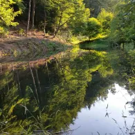 Forellengrund Wieda 2.0-3