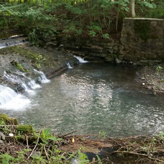 Forellengrund Wieda 2.0-4