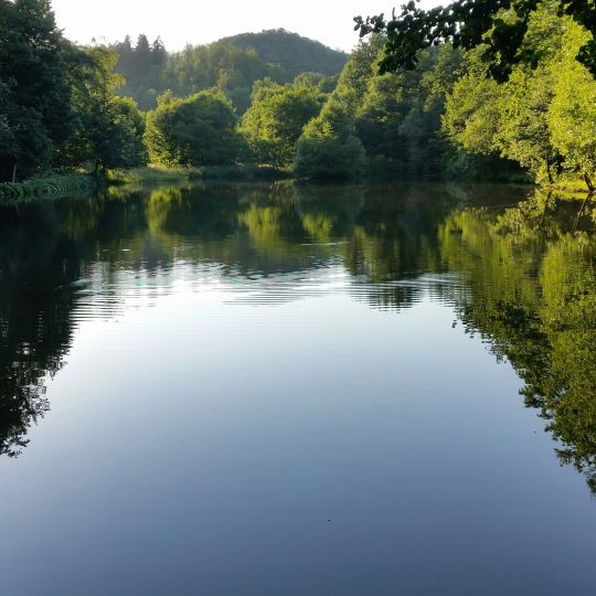 Forellengrund Wieda 2.0-2