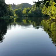 Forellengrund Wieda 2.0-2