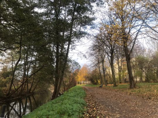 Wuhle (Berlin-Uhlenhorst)-2