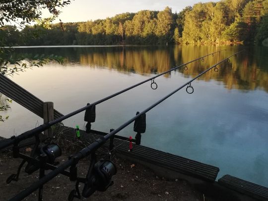 Effelder Waldsee Alle Angeln