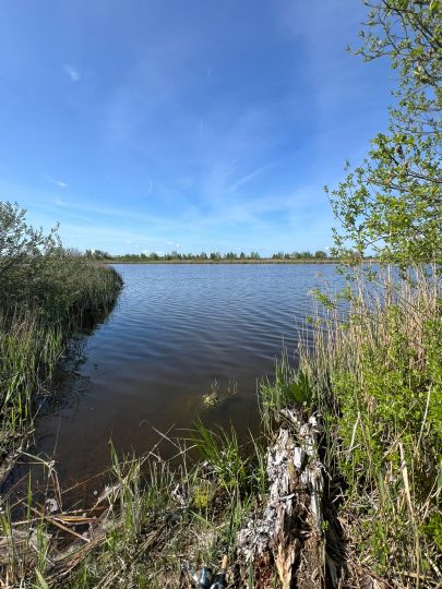 Schlachtergraben (Malchin)-1