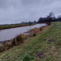 Alte Soholmer Au (Stedesand)