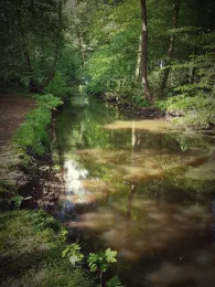 Hache (Kirchweyhe)-1