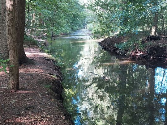 Hache (Kirchweyhe)-3