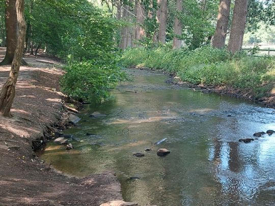 Hache (Kirchweyhe)-2