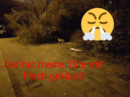 Spree (Köpenick)-2