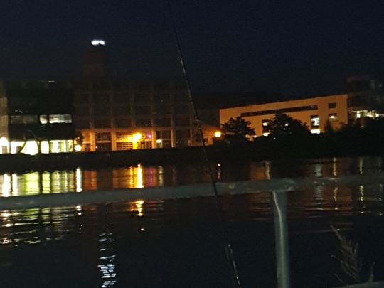 Spree (Köpenick)-3