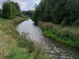 Freiberger Mulde (Halsbrücke-Großschirma)