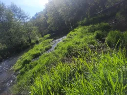 Freiberger Mulde (Halsbrücke-Großschirma)-2