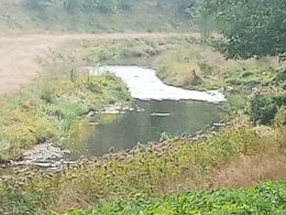 Freiberger Mulde (Halsbrücke-Großschirma)-1