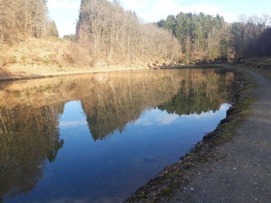 Anglerparadies Hirschalbermühle-1