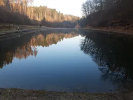 Anglerparadies Hirschalbermühle-4