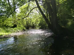 Nette (Ochtendung)-1