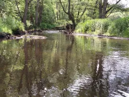 Nette (Ochtendung)-2