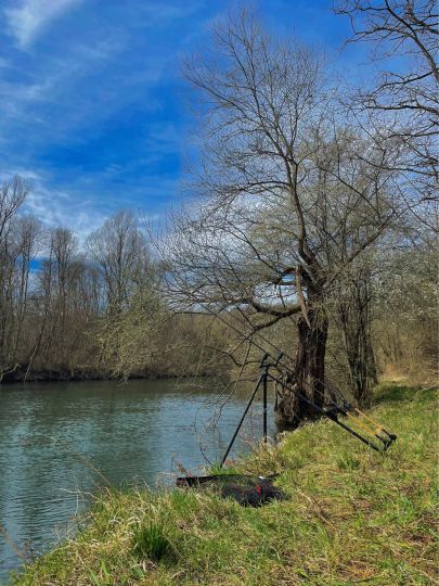 Neckar (Rottenburg am Neckar)-2