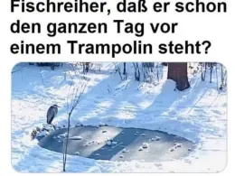 Neckar (Rottenburg am Neckar)-3