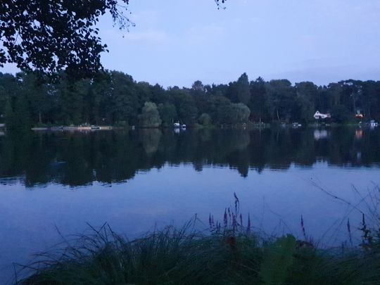 Zernsdorfer Lankensee-1