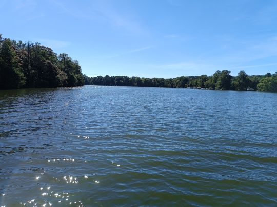 Zernsdorfer Lankensee-4