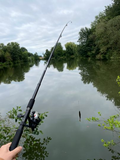 Vollmerteiche (Spenge)-3