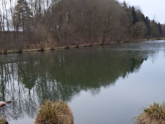 Vollmerteiche (Spenge)-2