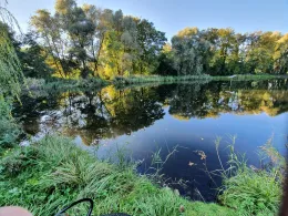 Rohrteich (Jüterbog)-2