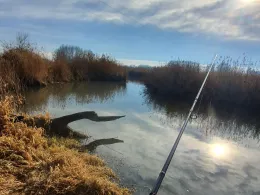 Zusam (Auchsesheim)-1