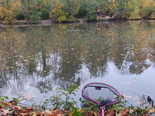 Waldsee Hilsbach angeln