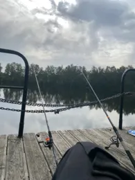 Biener See-4