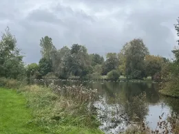 Wiesensee (Lauenbrück)