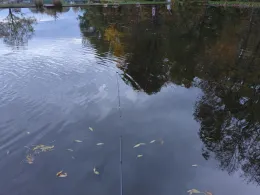 Forellenparadies Crüchern-1