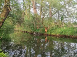 Elstermühlgraben (Göbitz)